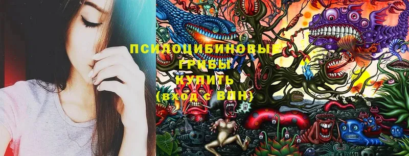 Псилоцибиновые грибы Cubensis  наркота  ссылка на мегу ссылки  Белый 